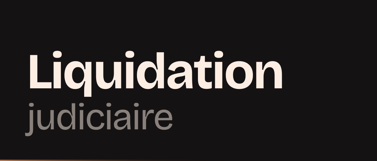Jaquette de la page « Liquidation judiciaire de l'artisan en EI : patrimoine, clôture et rebond » : Liquidation judiciaire