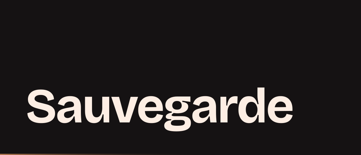 Jaquette de la page « Sauvegarde ou redressement judiciaire de l'artisan en EI : observation et plan » : Sauvegarde