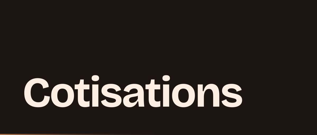Jaquette de la page « Cotisations micro-entrepreneur : 12,3 % ou 21,2 % pour un artisan » : Cotisations