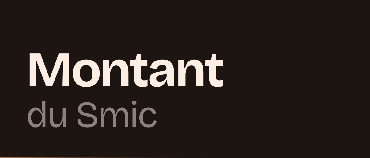 Jaquette de la page « Montant du Smic : 12,31 € brut de l'heure, et ce qui compte dans le calcul » : Montant du Smic
